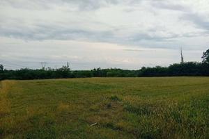 TERRENO AGRICOLO A TREZZANO ROSA