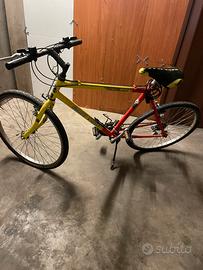 Bicicletta adulto