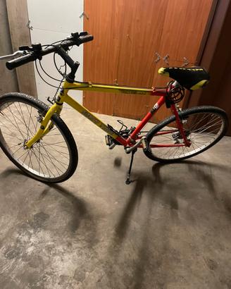 Bicicletta adulto