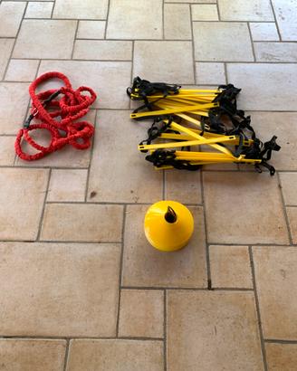 Estensori , sclaetra step e cinesini