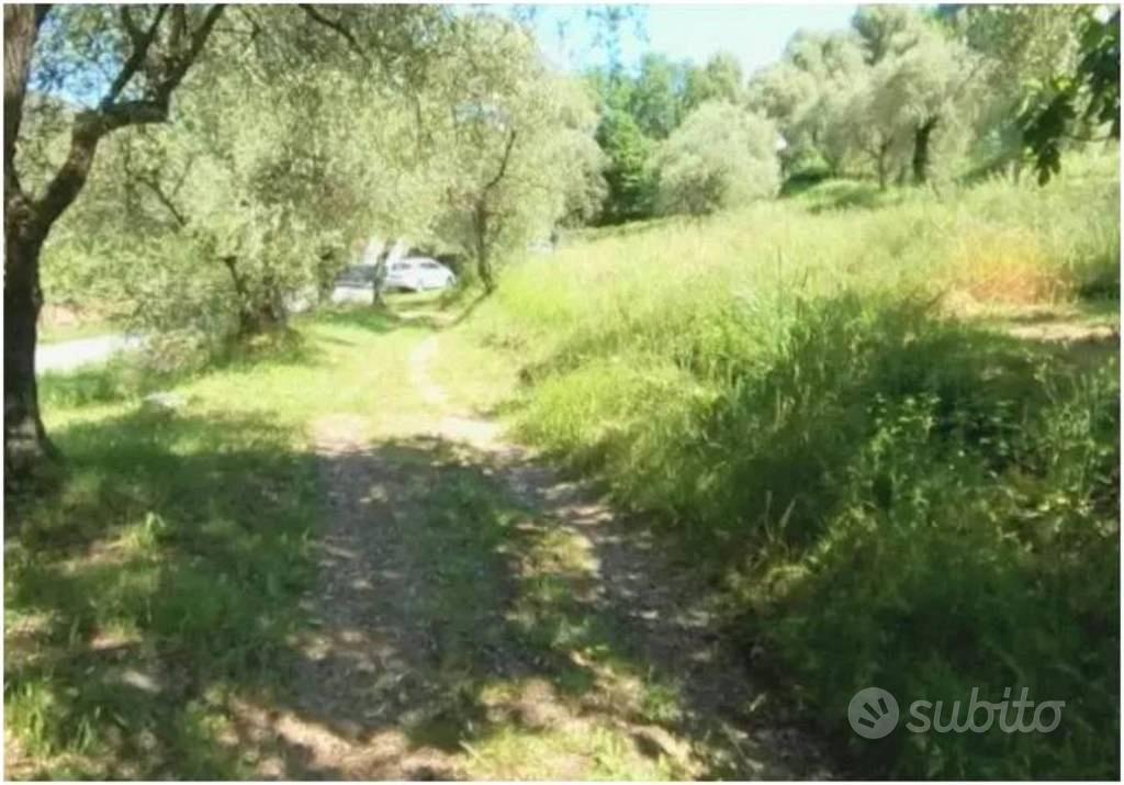 Immobile in asta di 2610 m² a Pietrabruna - Vista 4