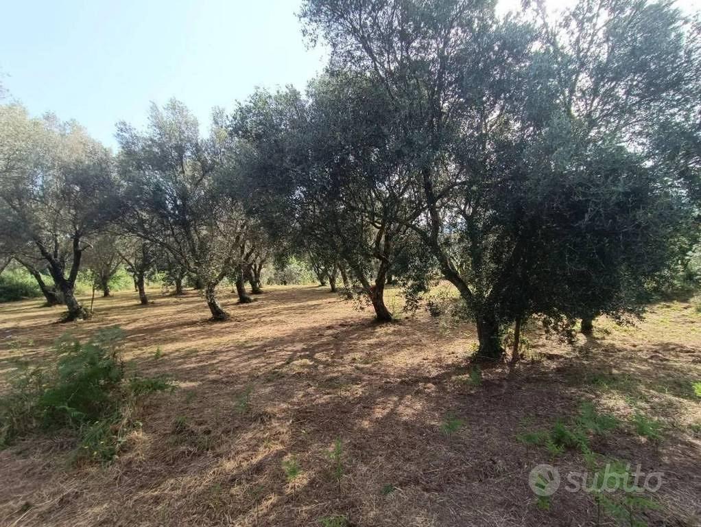 Immobile in asta di 4805 m² a Feroleto della Chies - Vista 3