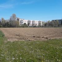 PORTOGRUARO Terr. edificabile in zona residenziale