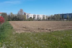 PORTOGRUARO Terr. edificabile in zona residenziale
