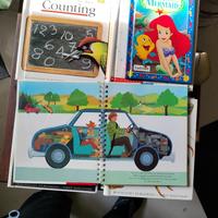 gratuitamente a scuole elementare o a privato