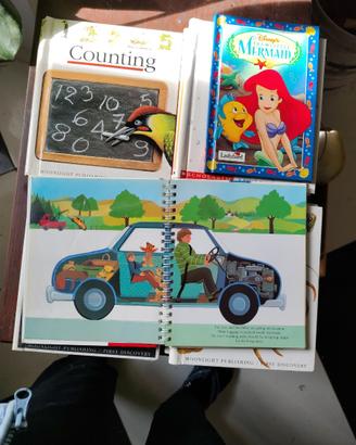 gratuitamente a scuole elementare o a privato