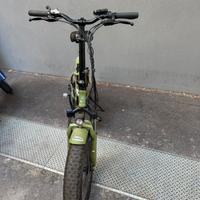 Bicicletta elettrica