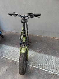 Bicicletta elettrica