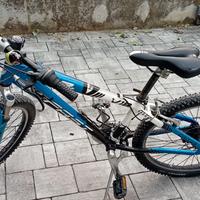Bici raggio 24