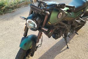 Benelli leoncino 2022