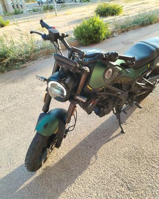 Benelli leoncino 2022