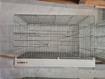 Gabbie per uccelli