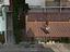 Immagine 27