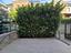 Immagine 8
