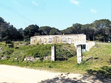 Casolare da ristrutturare con terreno