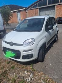 fiat panda  4x4
