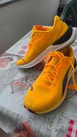 scarpe sport