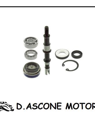 KIT REVISIONE POMPA ACQUA H2O
