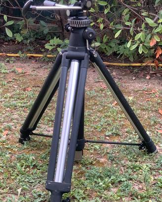 Cavalletto Fatif N Professional con Testa