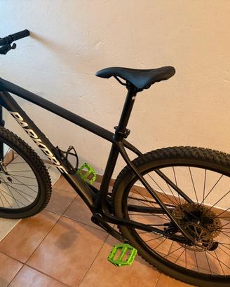 Parkpre MTB Carbon 29” - Perfetta, come nuova