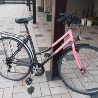Bicicletta da donna 28
