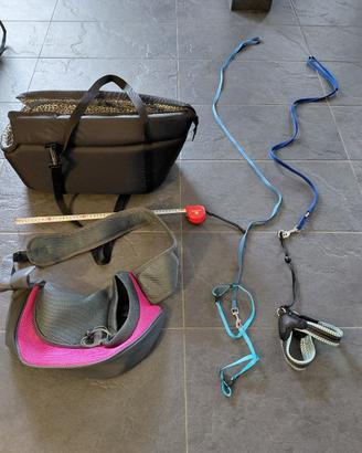 accessori x di cani piccola taglia