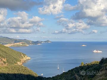 ELBA DAL 23 AGOSTO : Mare & Natura