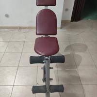 panca piana/inclinata da palestra