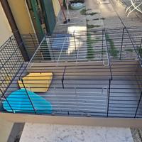gabbia x animale domestico
