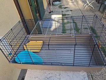 gabbia x animale domestico