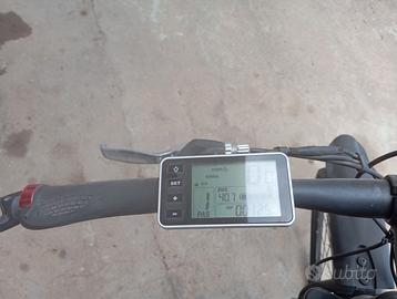 Bici assistita