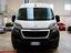Immagine 7