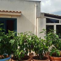 Sistemazione in STANZE