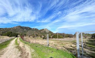 TER. AGRICOLO A VILLASIMIUS