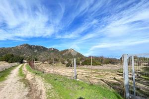 TER. AGRICOLO A VILLASIMIUS