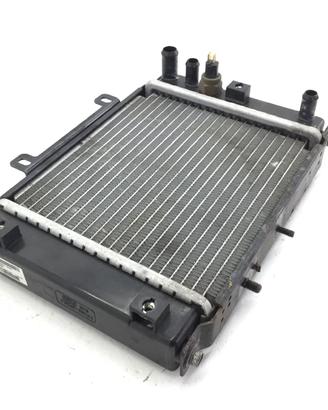 KYMCO DINK I 200 RADIATORE ACQUA LIQUIDO RAFFREDDA