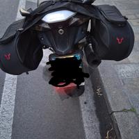 Borse sw motech per Honda  Vfr 800 f