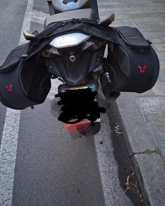 Borse sw motech per Honda  Vfr 800 f