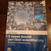 Il nuovo Amaldi per i licei scientifici.blu 1