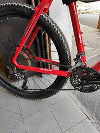 mtb FOCUS Cypress HT 1.0