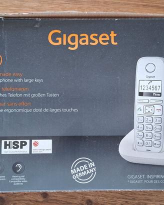 Telefono Cordless Siemens Gigaset E310