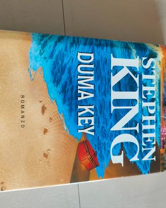 Duma Key, Stephen King 