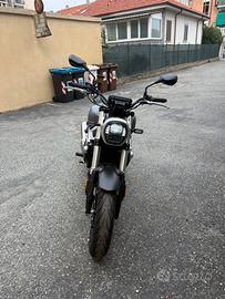 Voge Trofeo 500