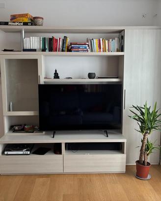 Mobile tv