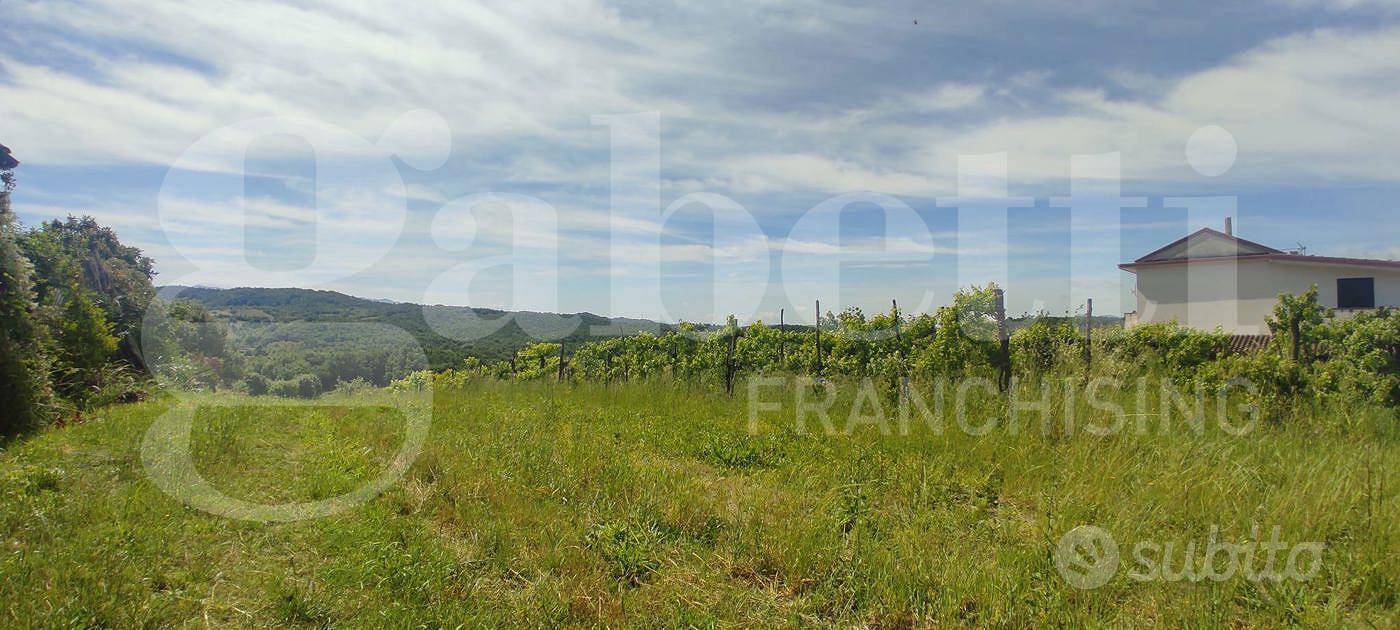 Terreno Agricolo Alife [Cod. rif 3159733VCG] - Vista 4