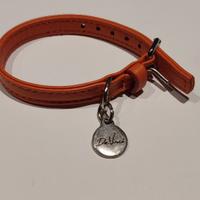 Collare pelle per cani taglia piccola