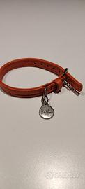 Collare pelle per cani taglia piccola