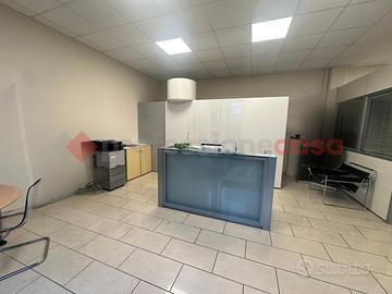 Negozio Livorno [425/BACG]