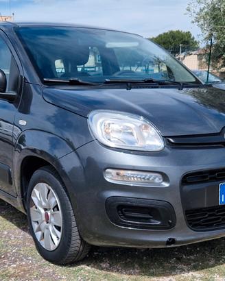 Fiat Panda 1.2 Lounge NEOPATENTATI 51KW