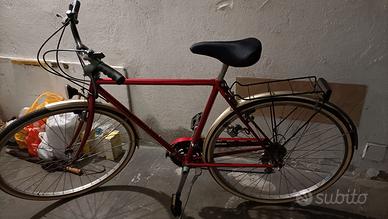 Bicicletta da uomo